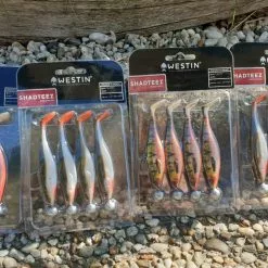 Westin Shadteez Rigged N’ Ready