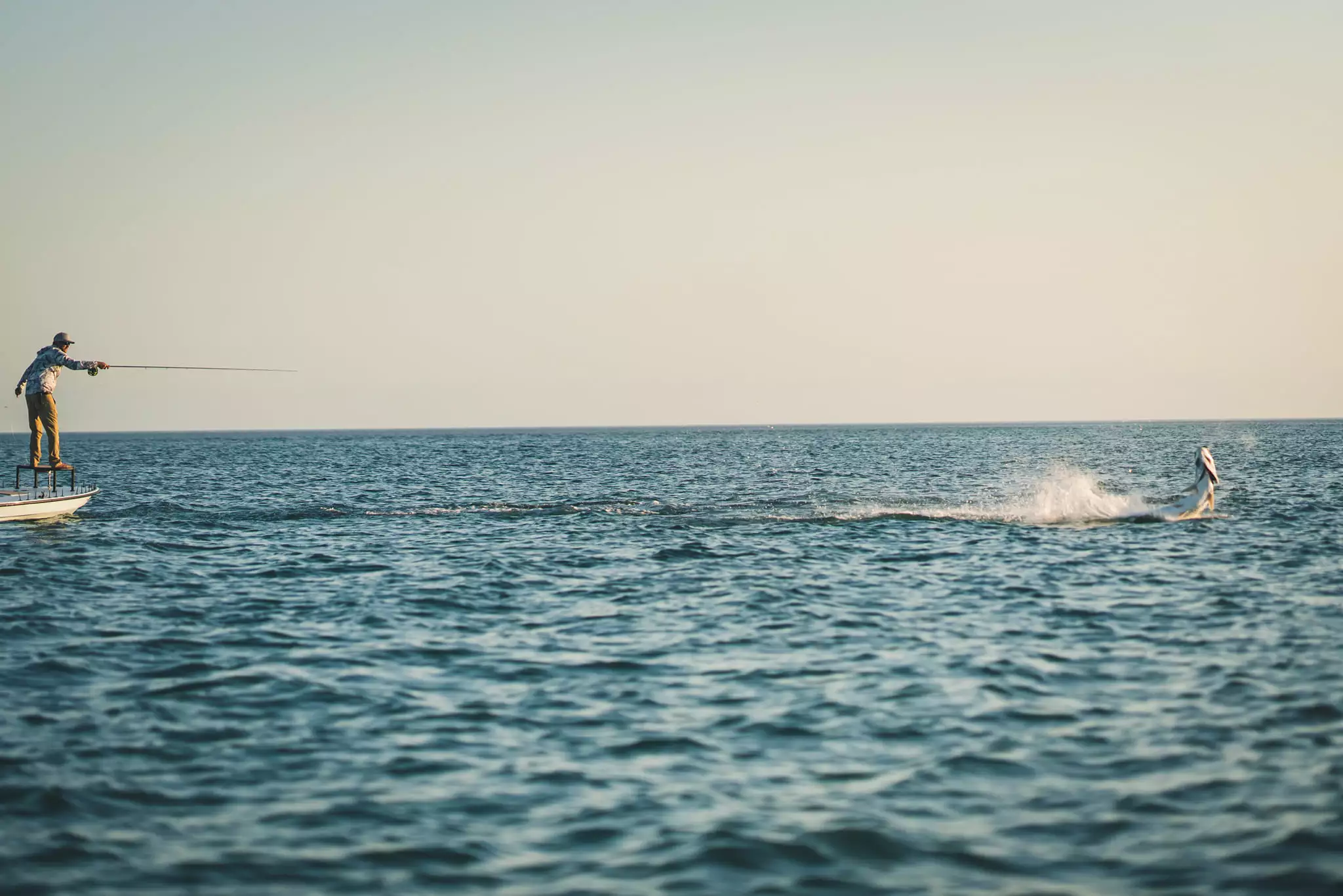 Roofvis Winkel -Roofvis Winkel 244521559 5045177172164745 8220619435979280633 n