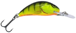 Salmo Hornet 2S Hot Perch