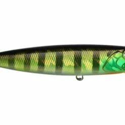 Duo Realis Pencil -Roofvis Winkel duoperch 500x375 1