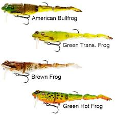 Westin “Freddy The Frog”