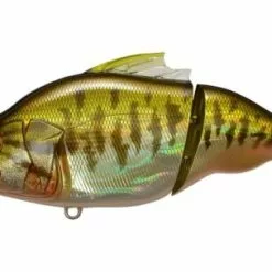 Megabass Vatalion -Roofvis Winkel ggbass 500x304 1