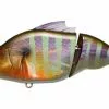Megabass Vatalion -Roofvis Winkel gggill 500x304 1
