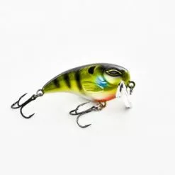 Gofish Shallow Crank 8 Cm -Roofvis Winkel go4 500x375 1