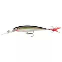 Rapala X-Rap Deep 10cm -Roofvis Winkel rapala x rap deep silver 1