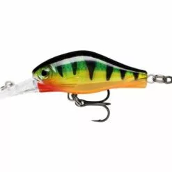 Roofvis Winkel -Roofvis Winkel rapalashadowrapfatjackperch e1617176947403 500x375 1